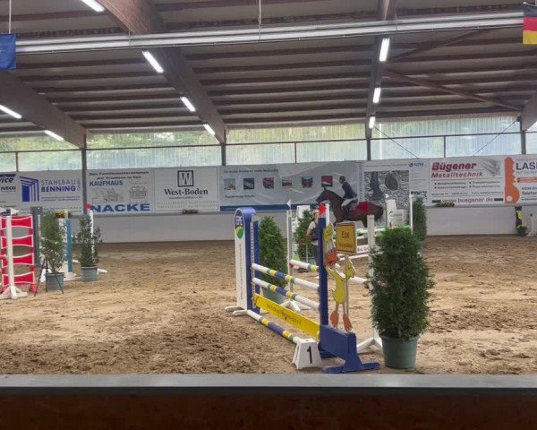 Reitturnier Gronau-Epe 2023