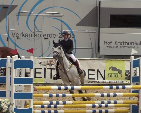 Reitturnier Ranshofen - Braunau am Inn 2023
