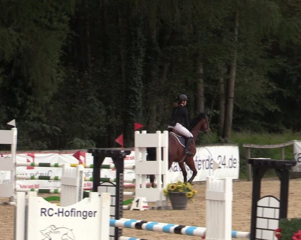Reitturnier Ranshofen - Braunau am Inn 2023