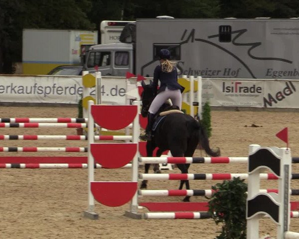 Reitturnier Ranshofen - Braunau am Inn 2023