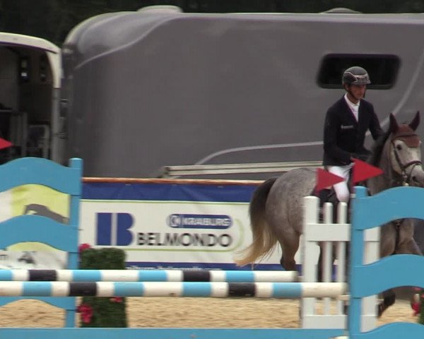 Reitturnier Ranshofen - Braunau am Inn 2023