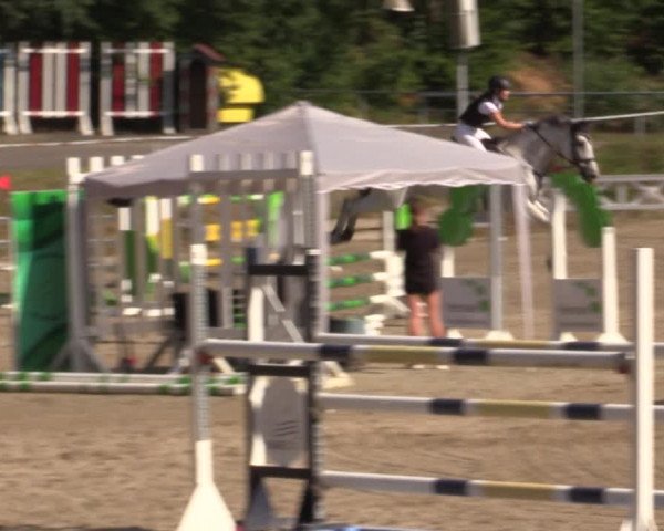 Reitturnier Lgl.-Oberhain, B95 2021