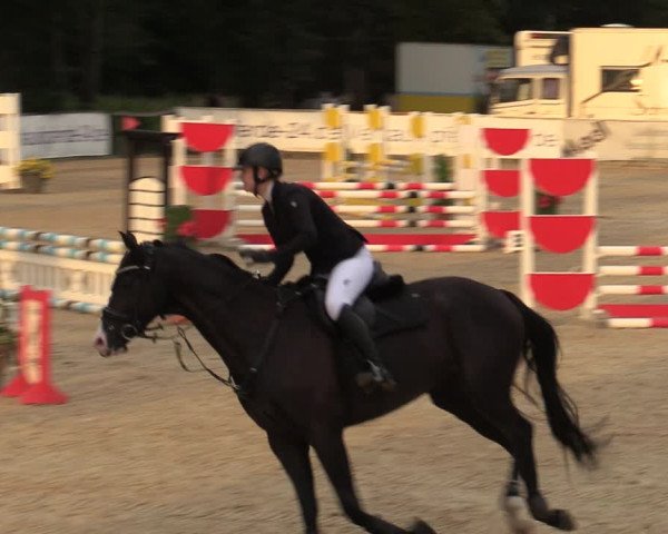 Reitturnier Ranshofen - Braunau am Inn 2023