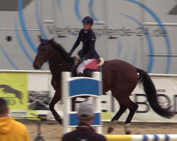 Reitturnier Ranshofen - Braunau am Inn 2023