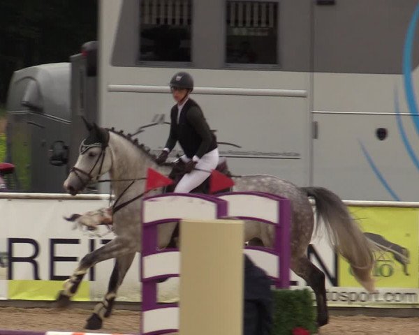 Reitturnier Ranshofen - Braunau am Inn 2023
