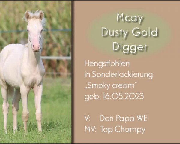Video of Mcay Dusty Gold Digger