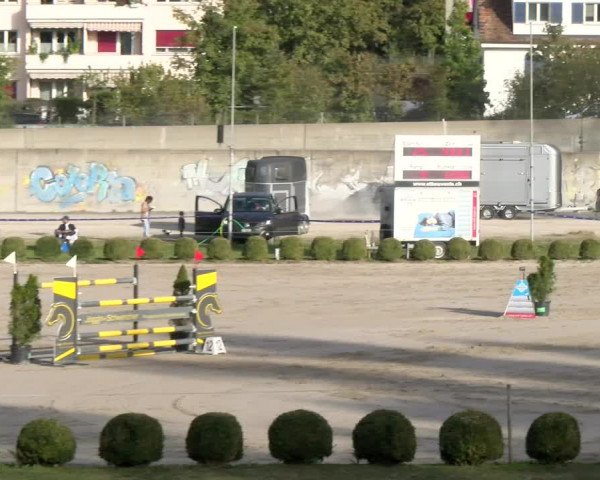 Reitturnier Basel 2023