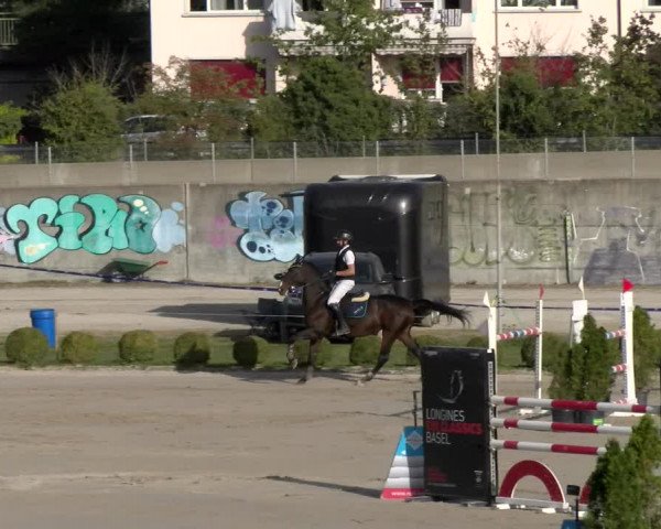 Reitturnier Basel 2023