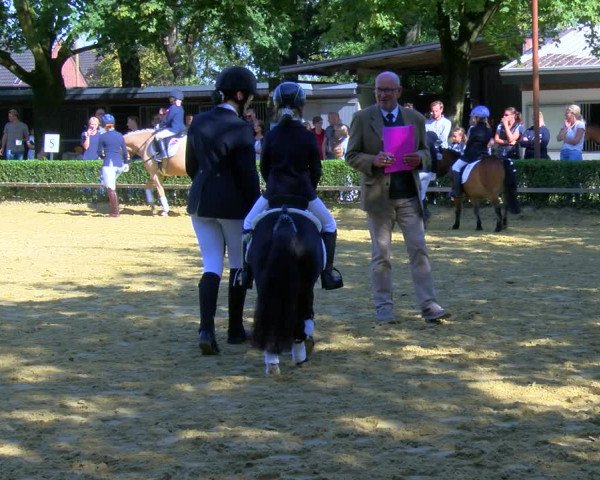 Reitturnier Bottrop-Kirchhellen 2023