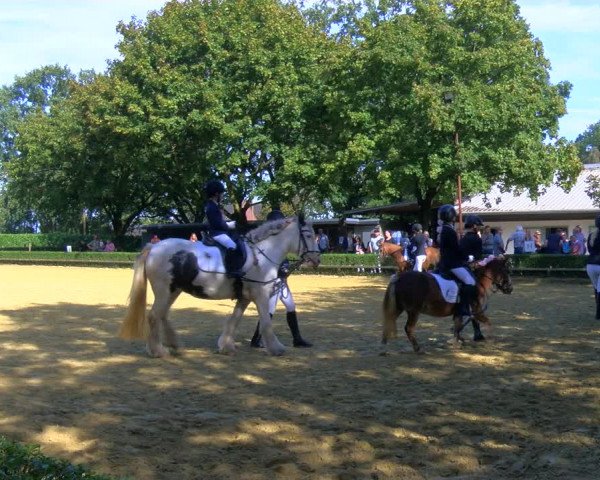 Reitturnier Bottrop-Kirchhellen 2023