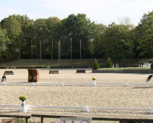 Reitturnier Tübingen 2023