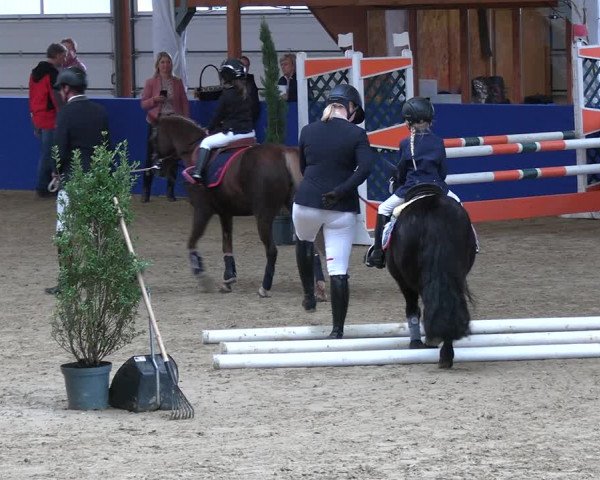 Reitturnier Isterberg 2023