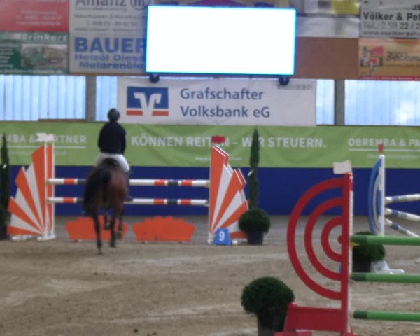 Reitturnier Isterberg 2023
