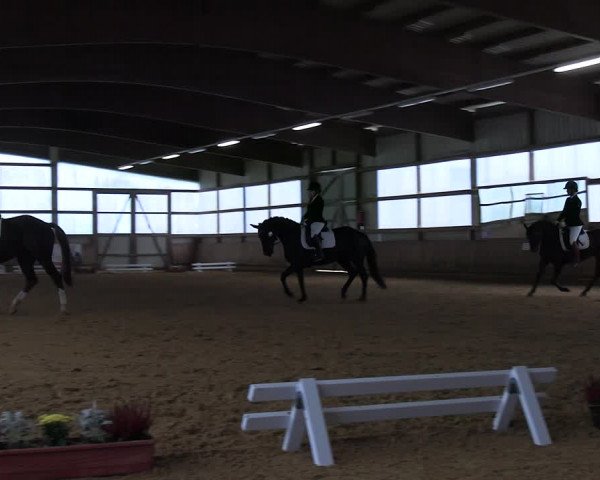 Reitturnier Werdohl-Rentrop 2023