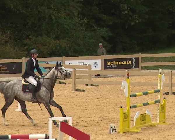 Reitturnier Tiefenhof/Opf. 2023