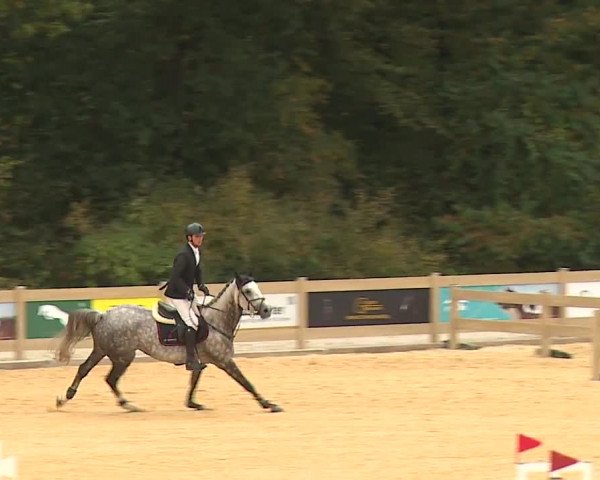 Reitturnier Tiefenhof/Opf. 2023