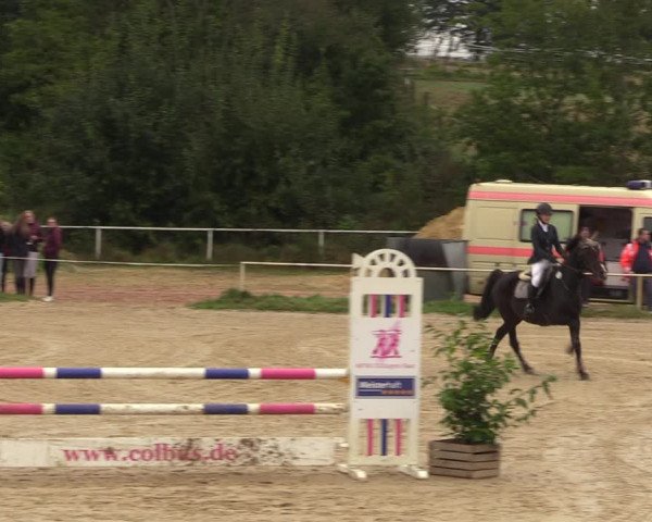 Concorso ippico Heiligenwald 2023