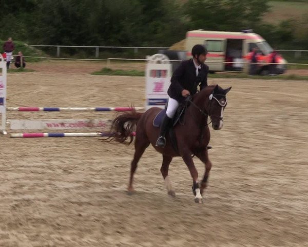 Reitturnier Heiligenwald 2023