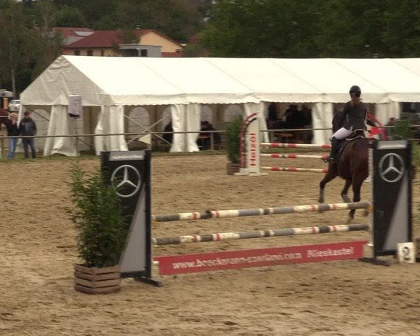 Reitturnier Heiligenwald 2023
