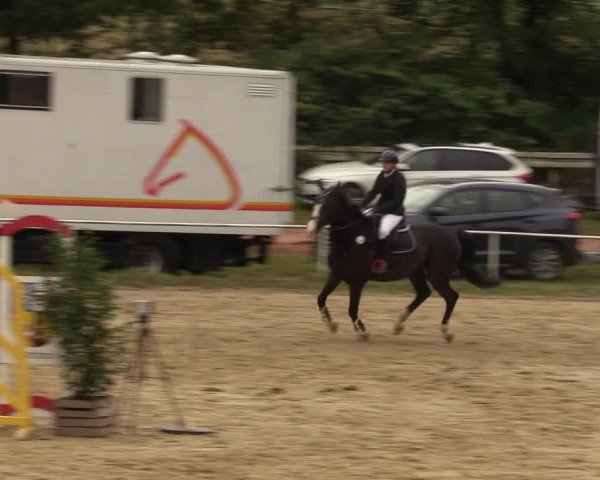 Reitturnier Heiligenwald 2023