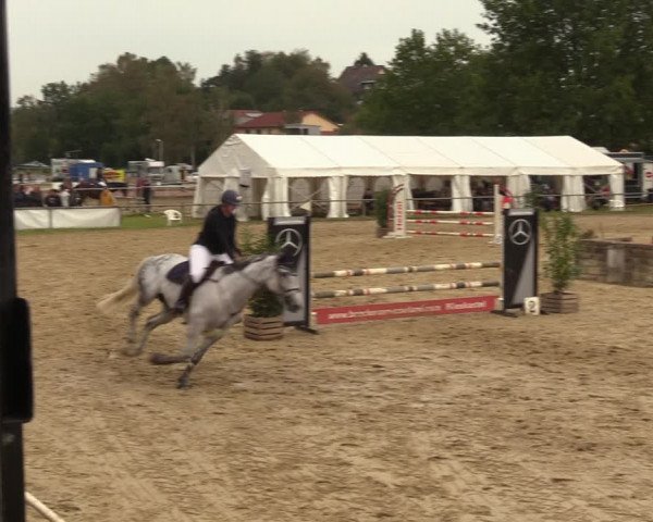 Reitturnier Heiligenwald 2023