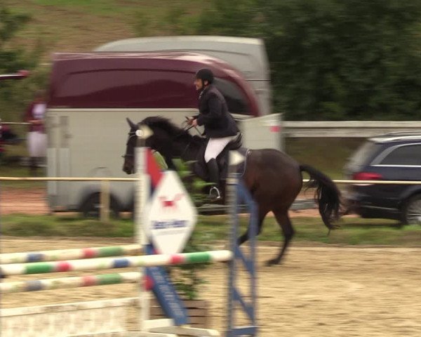 Reitturnier Heiligenwald 2023