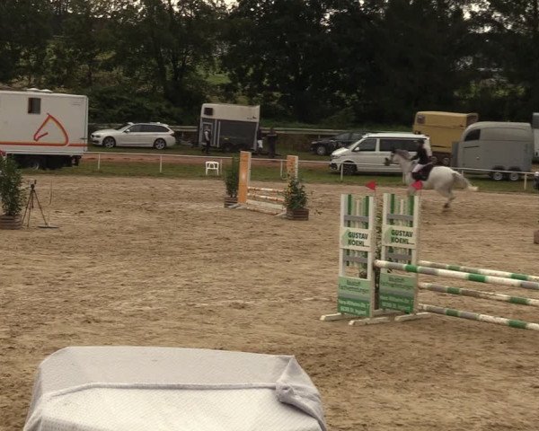 Reitturnier Heiligenwald 2023