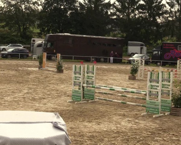 Reitturnier Heiligenwald 2023