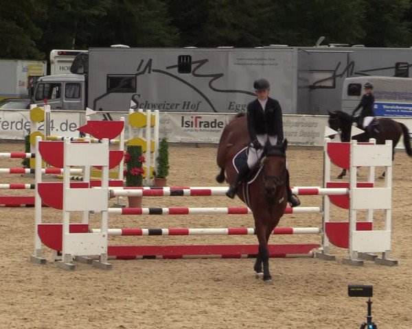 Reitturnier Ranshofen - Braunau am Inn 2023