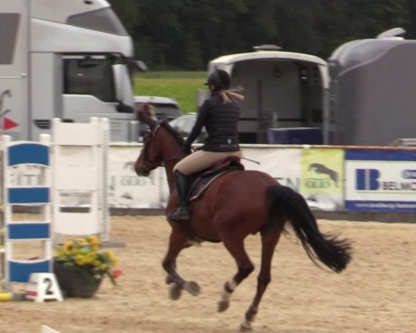 Reitturnier Ranshofen - Braunau am Inn 2023