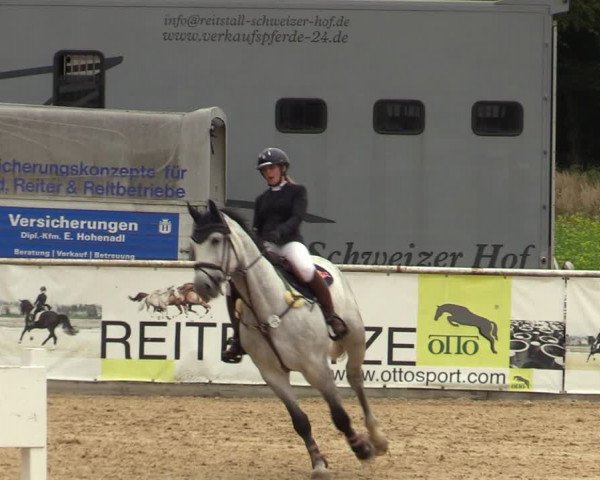 Reitturnier Ranshofen - Braunau am Inn 2023
