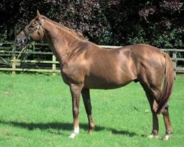 stallion Apple Tree xx (Thoroughbred, 1989, from Bikala xx)