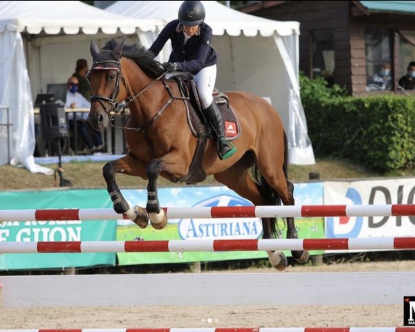 jumper Czarina Jmen (Brazilian horse, 2008, from Clavigo)