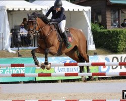 jumper Czarina Jmen (Brazilian horse, 2008, from Clavigo)