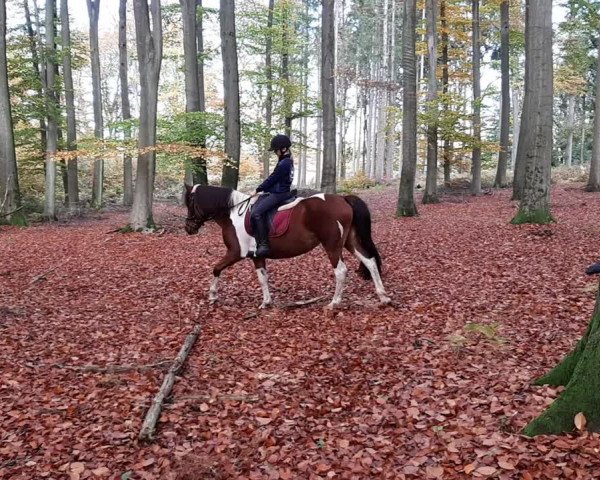 Video von Quinny