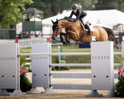 jumper Jesprit H.s (KWPN (Royal Dutch Sporthorse), 2014, from Eldorado van de Zeshoek)