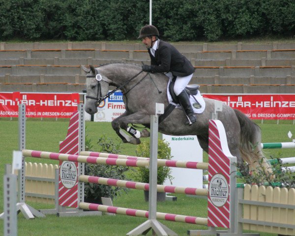 broodmare Desteny 82 (German Sport Horse, 2004, from Camposanto)