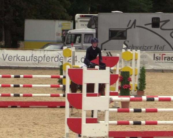 Reitturnier Ranshofen - Braunau am Inn 2023