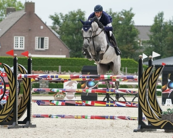 Springpferd Zero 24 (Holsteiner, 2014, von Zandor Z)