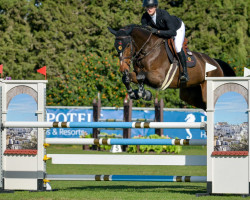 jumper Leicester (KWPN (Royal Dutch Sporthorse), 2016, from VDL Harley)