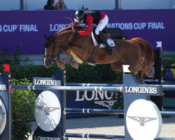 broodmare Dorette 197 (Oldenburg, 2009, from Dollar du Murier)