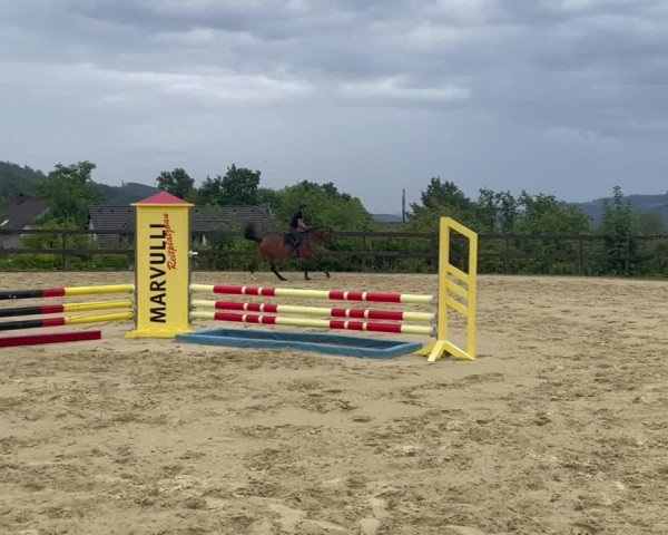 Video von Cersei Baratheon