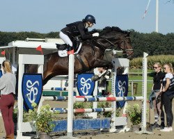 dressage horse Cardinal G (German Sport Horse, 2013, from Contenaro)