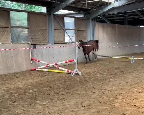 Video von Utopie