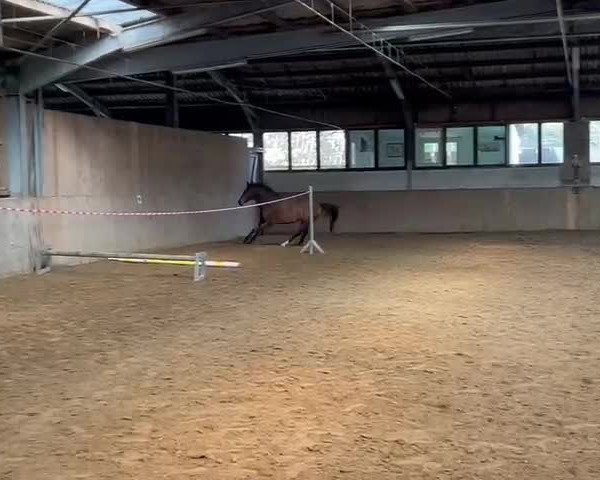 Video von Utopie