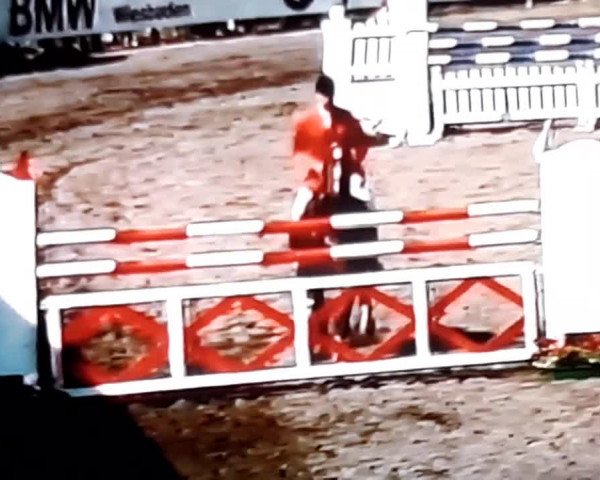 Video of Voltaire