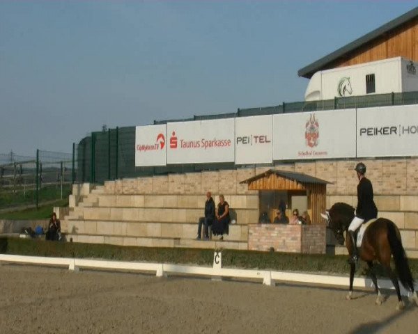 Reitturnier Liederbach 2023