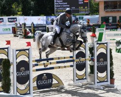 jumper AGASSI 22 (German Sport Horse, 2017, from Askari)