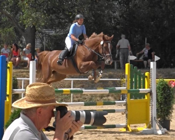 broodmare Delta Fox HI (German Sport Horse, 2011, from Casdorff)