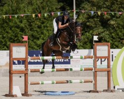 jumper Clementine Rs 3 (Oldenburg show jumper, 2016, from Conbassy)